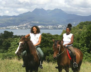 Ranch Jack - Centre Equestre aux Trois Ilets / Martinique