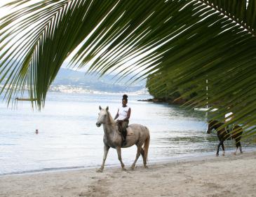 Ranch Jack - Centre Equestre aux Trois Ilets / Martinique