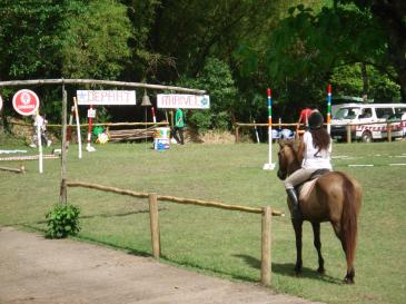 Ranch Jack - Centre Equestre aux Trois Ilets / Martinique