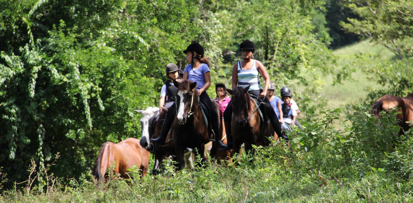 BALADES À CHEVAL EN MARTINIQUE