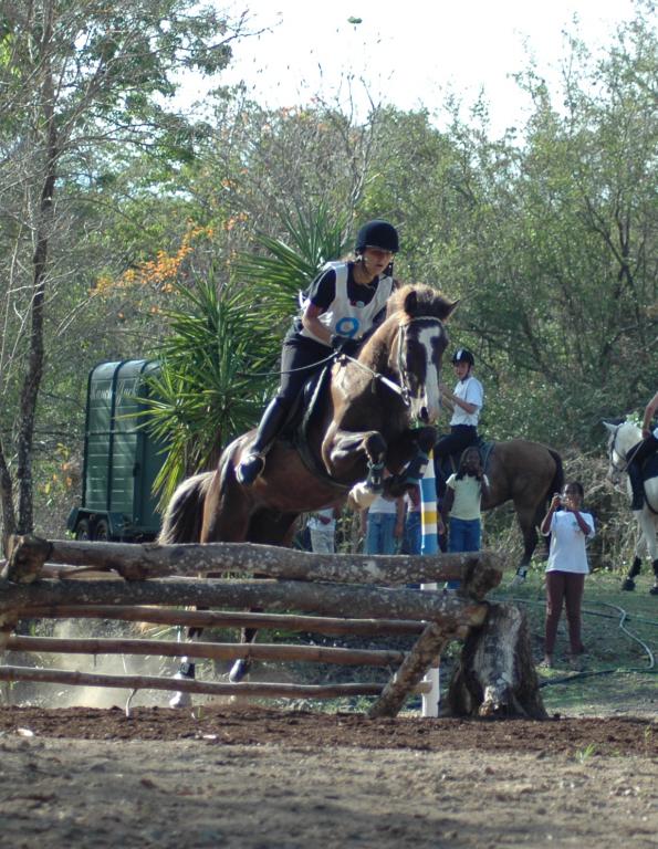 Ranch Jack - Centre Equestre aux Trois Ilets / Martinique