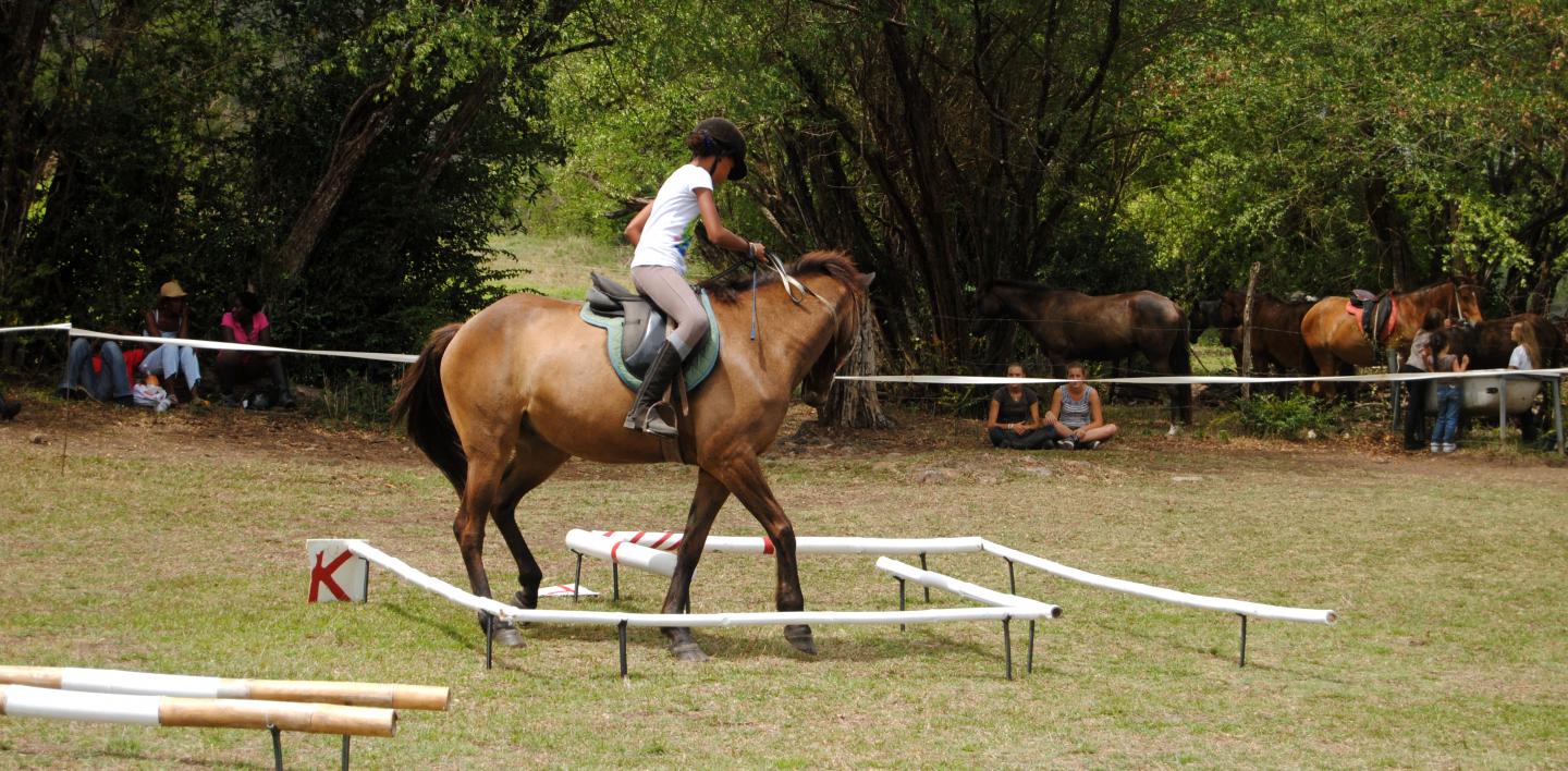 ECOLE D’ÉQUITATION EN MARTINIQUE