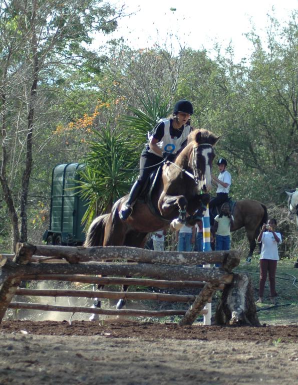 Ranch Jack - Centre Equestre aux Trois Ilets / Martinique