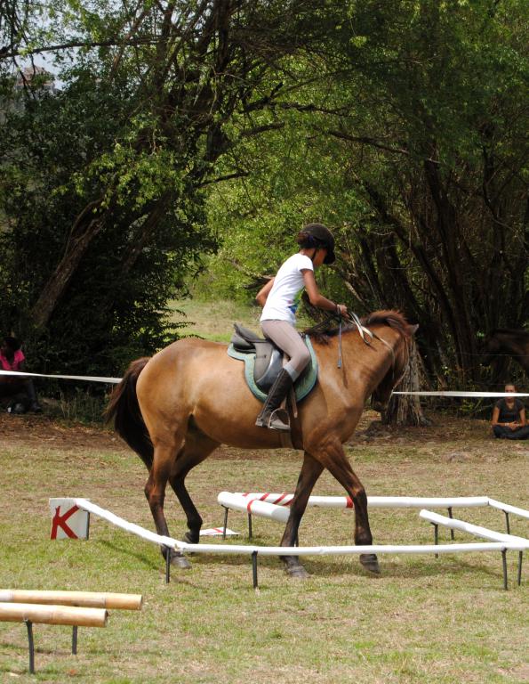 Ranch Jack - Centre Equestre aux Trois Ilets / Martinique