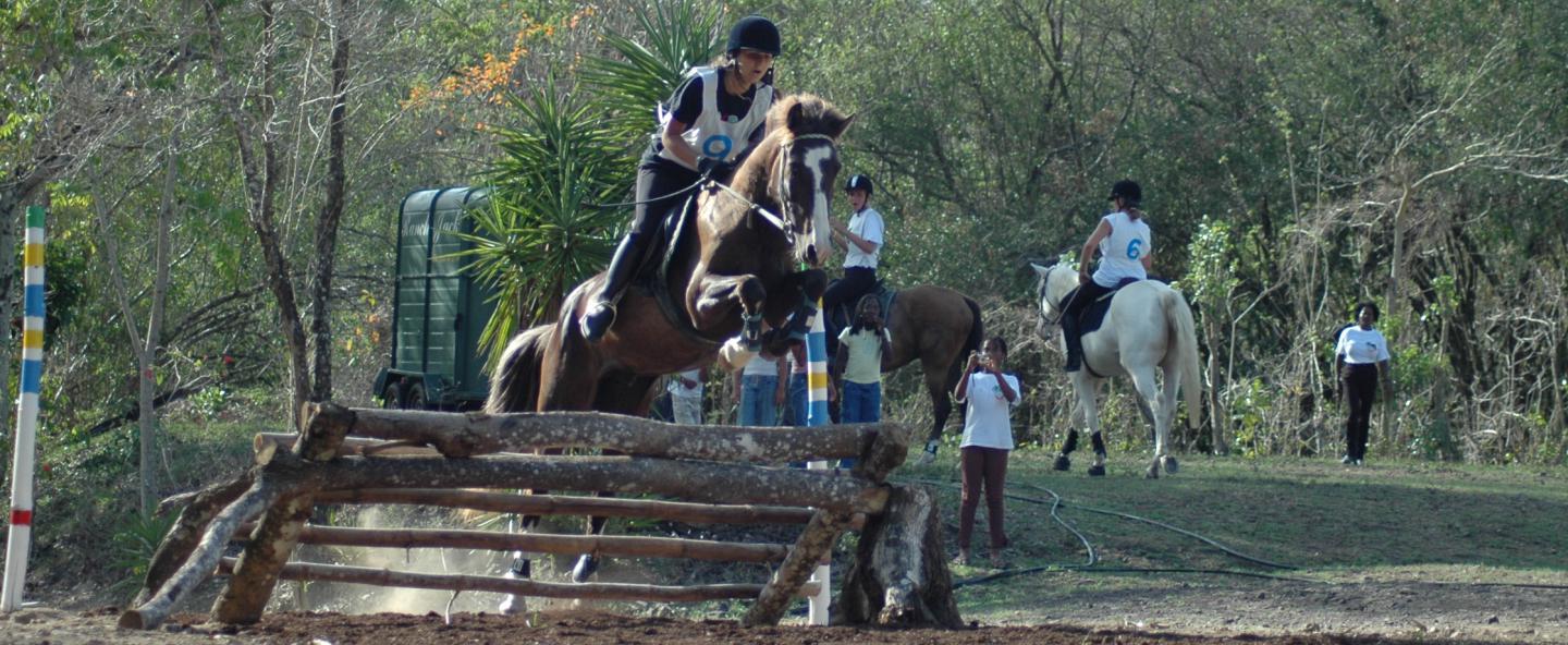 Ranch Jack - Centre Equestre aux Trois Ilets / Martinique