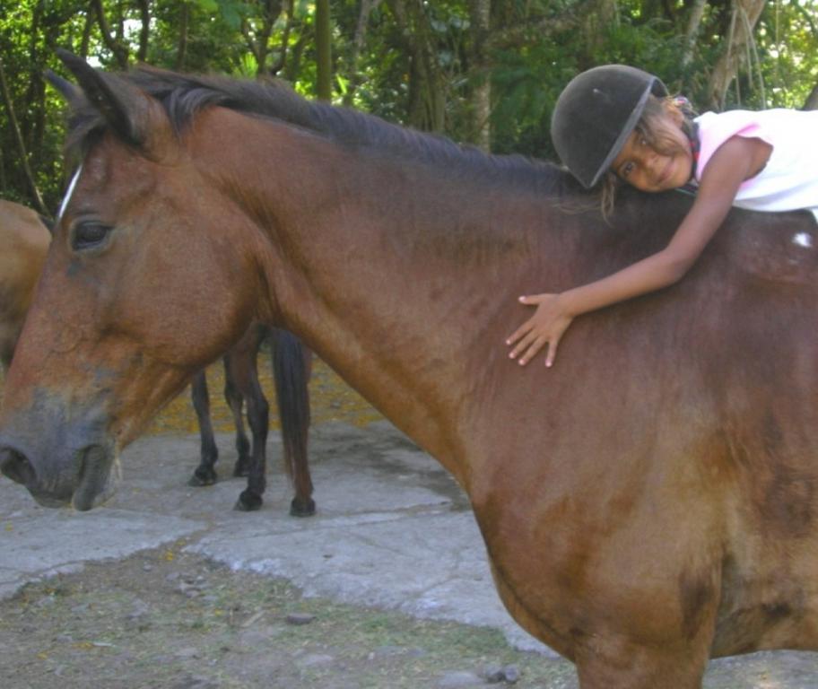 Ranch Jack - Centre Equestre aux Trois Ilets / Martinique