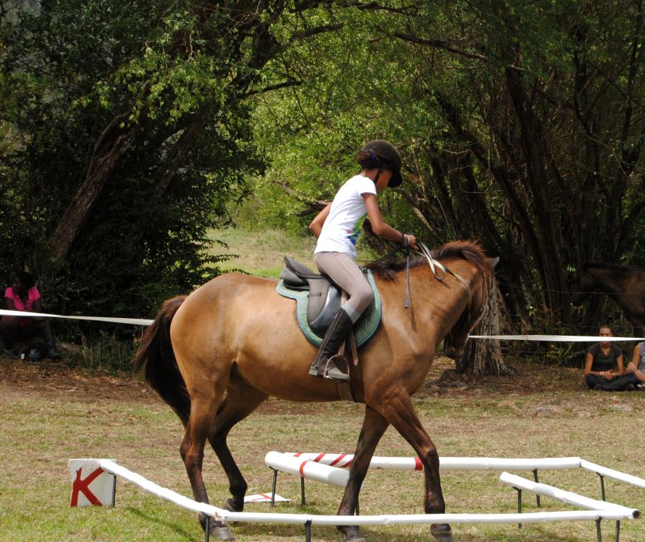 Ranch Jack - Centre Equestre aux Trois Ilets / Martinique