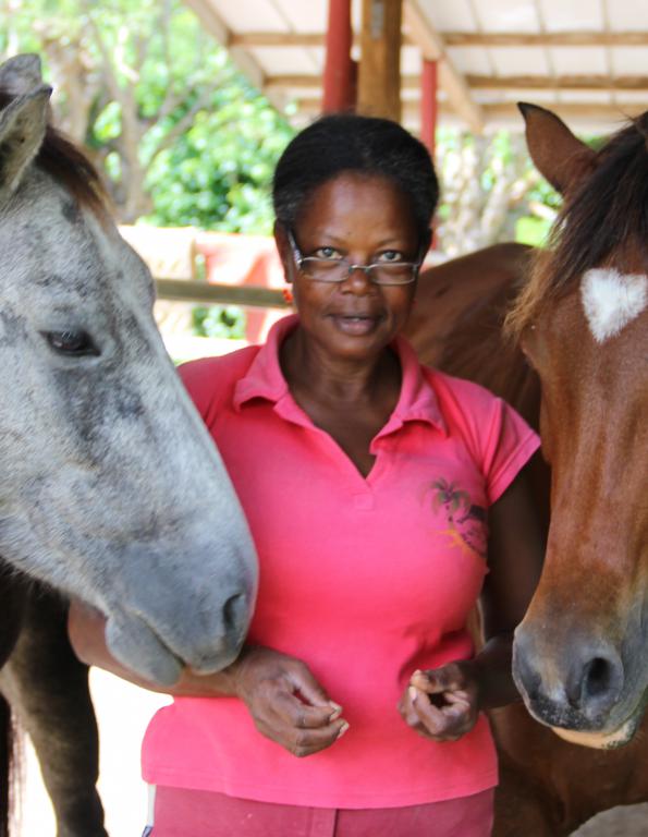 Ranch Jack - Centre Equestre aux Trois Ilets / Martinique