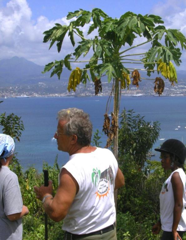 Ranch Jack - Centre Equestre aux Trois Ilets / Martinique