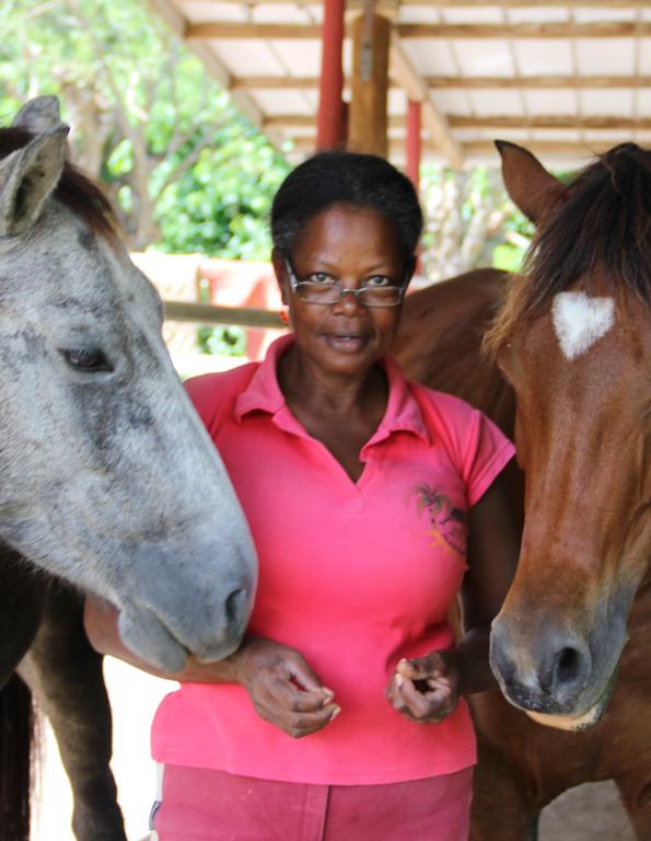 Ranch Jack - Centre Equestre aux Trois Ilets / Martinique