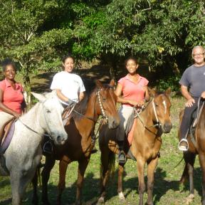 Ranch Jack - Centre Equestre aux Trois Ilets / Martinique