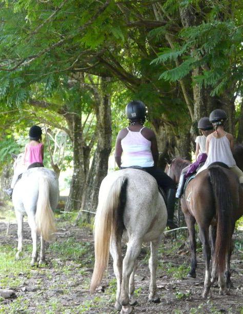 Ranch Jack - Centre Equestre aux Trois Ilets / Martinique