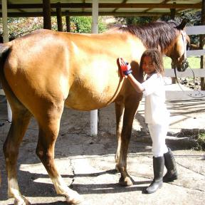 Ranch Jack - Centre Equestre aux Trois Ilets / Martinique