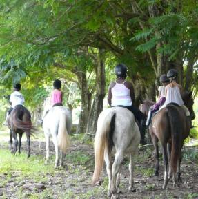 Ranch Jack - Centre Equestre aux Trois Ilets / Martinique