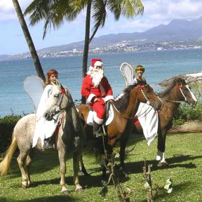 Ranch Jack - Centre Equestre aux Trois Ilets / Martinique