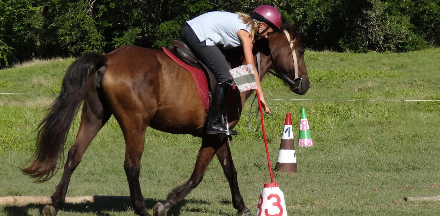 STAGES ET CAMPS D’ÉQUITATION EN MARTINIQUE