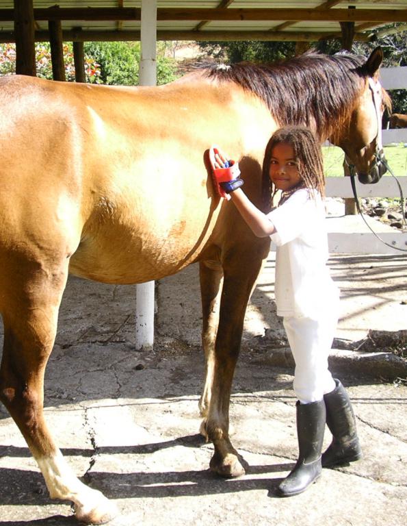 Ranch Jack - Centre Equestre aux Trois Ilets / Martinique